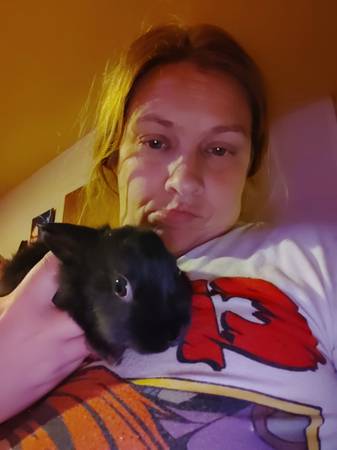 A free bunny (Nashville)63664482571011121