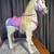 DISNEY PRINCESS RAPUNZEL'S HORSE, RIDE ON MY SIZE PONY 18 thumbnail