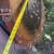 2005 Dosko Root Pruner Stump Grinder 32" Wheel Walk Behind Commercial 2 thumbnail