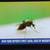 LG 4K 55" OLED TV 1 thumbnail