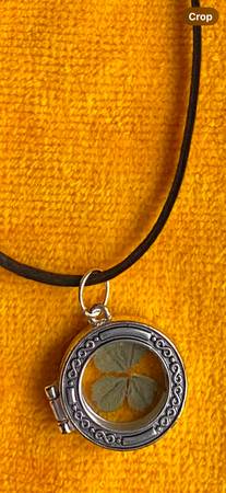 A “Real Genuine Four Leaf  Clover” 🍀 Necklace - 18” 1