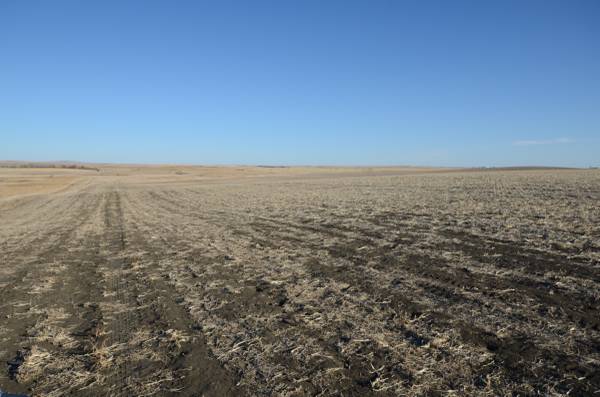 $799,200 160 +/- ACRES !!!!!   NW4 Sec 36 T106 R76 en LYMAN COUNTY SD (Presho)63671616320515122