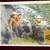 ROY ROGERS COMPLETE LOBBY CARD SET 'DOWN DAKOTA WAY'...NICE CONDITON 6 thumbnail