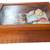 Pottery Barn shadow box with seashell collection, educational 2 thumbnail