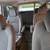 2014 CHEVY TRAVERSE * CLEAN TITLE * SMOG DONE * TAGS PAID 12 thumbnail