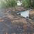 9047637094 LANDSCAPING🔹MULCHING🔹SOD🔹TREE TRIMMING🔹OVERGROWN LOTS 17 thumbnail