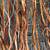 Dried natural decorative branches Grown in Wi (Curly Willow, Dogwood, 3 thumbnail
