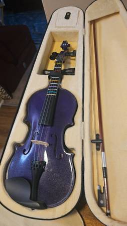Purple 4/4 violin with learning books 1