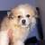 TeDdY 6 thumbnail
