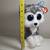 Ty Beanie Boo's "Slush" Husky 5 thumbnail