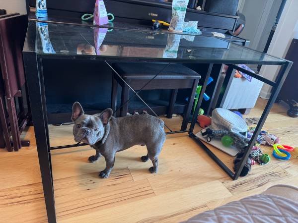Metal Desk with Glass top 1