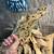 Driftwood 5 thumbnail