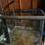 Bulk aquariums 3 thumbnail
