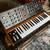 Behringer Poly D synthesizer (minimoog clone) 2 thumbnail