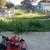 WE CUT GRASS! WE TRIM TREES/BUSHES! GENERAL LABOR WORK! AFFORDABLE PRICES! 8 thumbnail