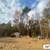 U-Clean Tree Service: Save 80% on Tree Trimming & Felling 3 thumbnail