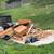 JUNK REMOVAL &  MOVING SERVICES.... starting @ $89+ 10 thumbnail