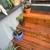 Assorted House Plants - All in Ceramic or Terracotta Pots 5 thumbnail