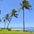 OCEANFRONT Ground Floor 2bd/2ba Unit with Amazing Ocean Views & A/C 2 thumbnail