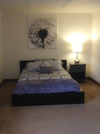 $1,800 / 2br - 730ft2 - Shadyside 2 bedroom - Available Immediately (Shadyside)64013530963714123