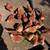 HEALTHY RHODE ISLAND RED CHICKENS & ROOSTERS & EGG FOR SALE 4 thumbnail