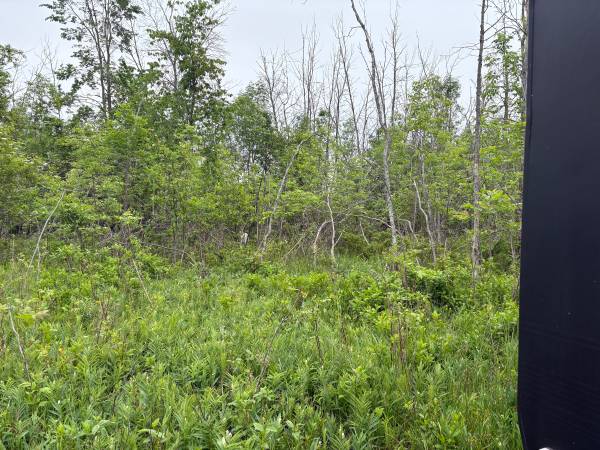$16,500 Cheboygan Corner Lot - Private yet right in town! (Cheboygan)64037895470723123