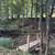 Rustic tiny home mostly furnished on 8 acre homestead 2 thumbnail