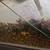 Fish tank 2 thumbnail