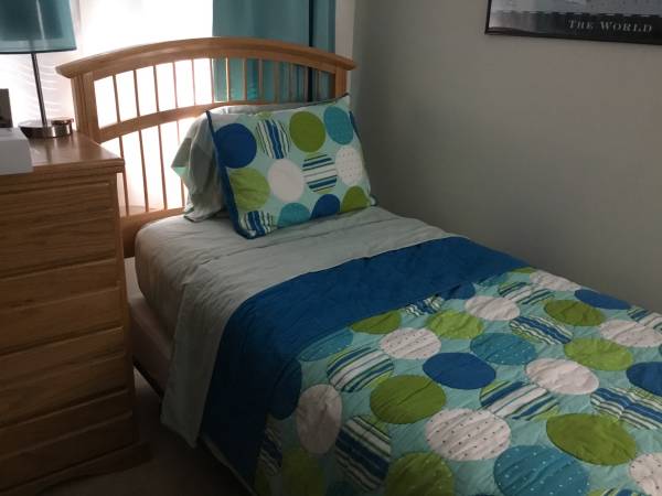 Twin bed w/box spring and frame and headboard 1