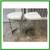 Uttermost Ivanna Counter Stools, Pair 6 thumbnail