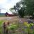 Farm near town and beach, Mangoes, tropical fruits and more 7 thumbnail