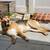 Meet Biscuit - looking for new new forever home 2 thumbnail