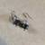 Long Necklace Lot 10 thumbnail