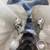 Vintage 26"X14.5" Silver Christmas Tree Candelabria 12-Candle Holder 9 thumbnail