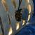 VINTAGE THEATRE /FILM SPOT LIGHT 14 thumbnail