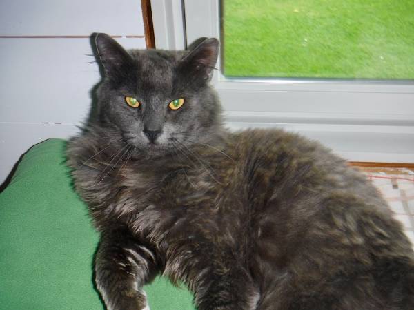 Sammy is still missing64145649726339124