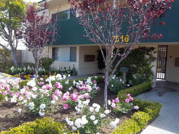 $1,595 / 1br - SPACIOUS UPGRADED 1 BEDROOM - AVAILABLE NOW!!! (N. HOLLYWOOD)63998005264899121