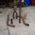 Toyota Tundra performance cat back exhaust 2 thumbnail