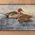 Original Watercolor - by Phil Selzer - Double Matted and Framed 2 thumbnail