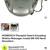 Brand new (Homedics) percussion massager & neck massager 8 thumbnail