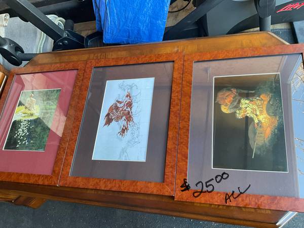 3 beautiful pictures 1