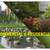 LIC#1145522 COMMERCIAL & RESIDENTIAL ** LAWN C@RE & GARDENING SERVICES 18 thumbnail