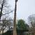 Trees cutting n virginia 1 thumbnail