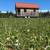 Tiny house on a regenerative farm 10 thumbnail