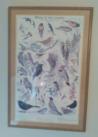 1972 BIRDS OF THE GARDEN - SUMMER 1