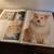 Giant Book of DOGS 9 thumbnail