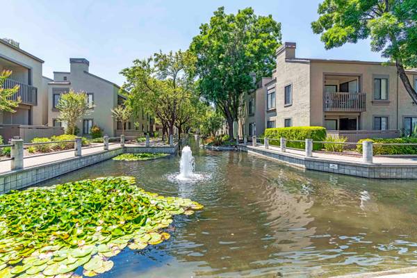 $3,150 / 2br - Walnut Creek CA, Fire Pit, 2/BD 1/BA (walnut creek)63413866248579121