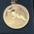 1973 FRANKLIN MINT 1OZ. STERLING SILVER MEDALLION and CHAIN JONATHAN L 2 thumbnail
