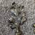 Chris Madden 86" - 120" Decorative Oak Leaf Drapery Curtain Rod 4 thumbnail