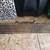 Solid Wooden Shelf Ornate Wall Hanging Display Decorative Regency Styl 3 thumbnail